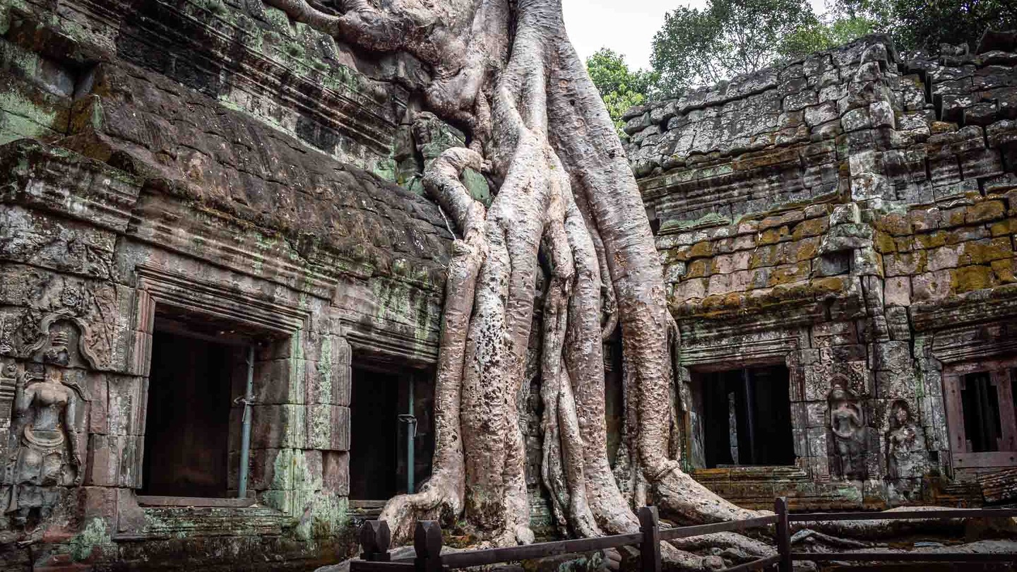 Angkor Wat Tomb Raider temple, Siem Reap