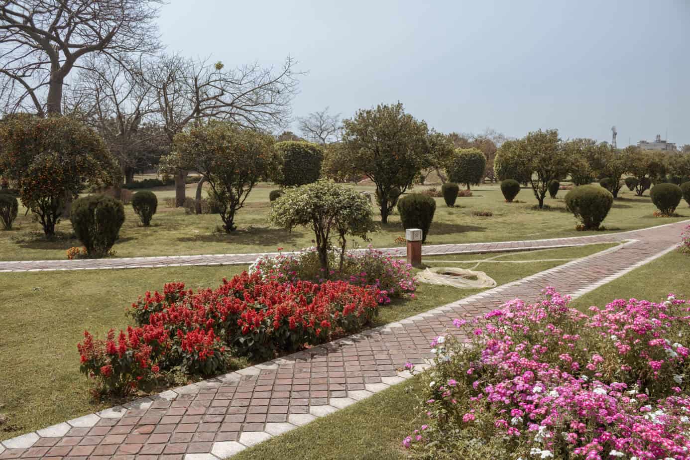 Lotus Temple gardens in India