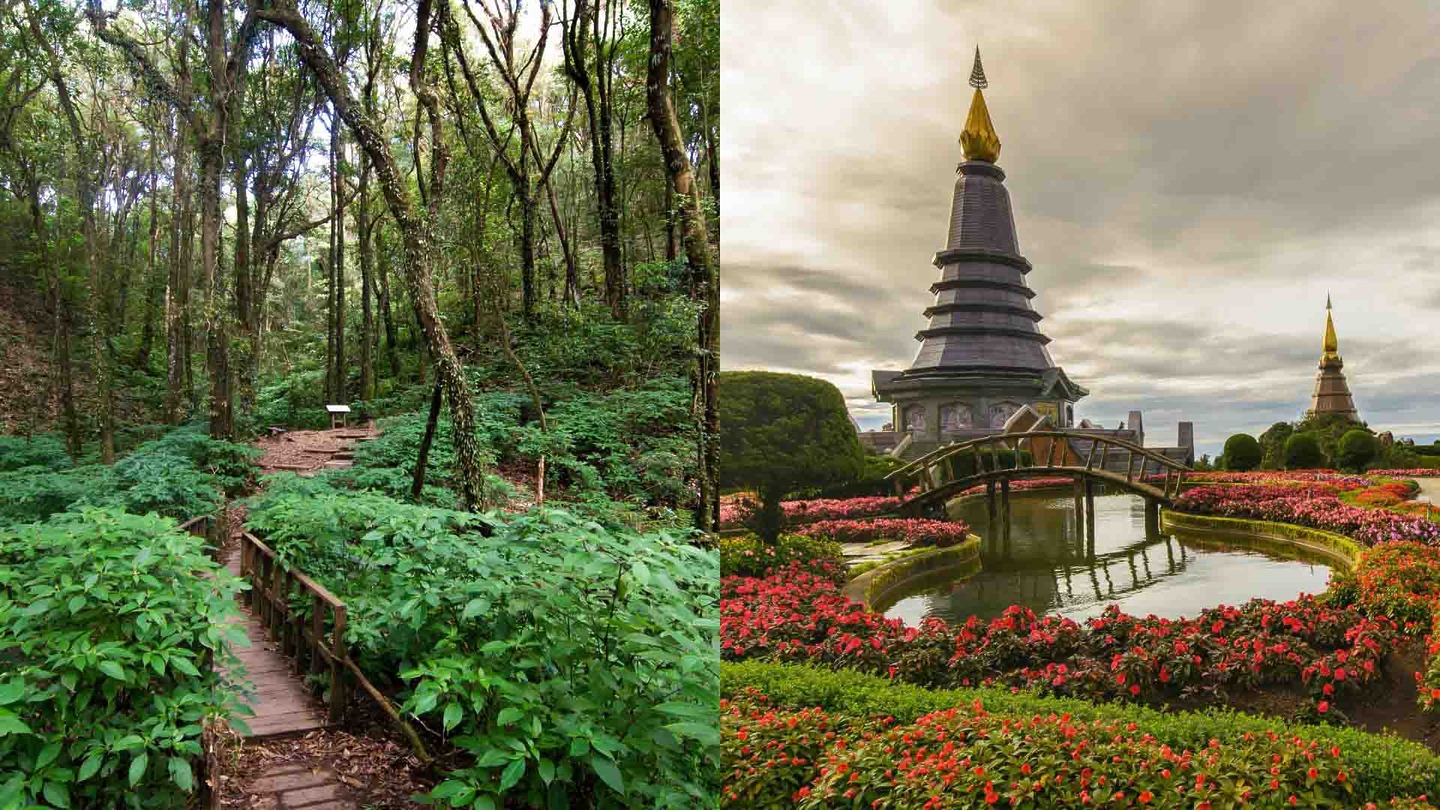 Doi Inthanon National Park, 3 days in Chiang Mai
