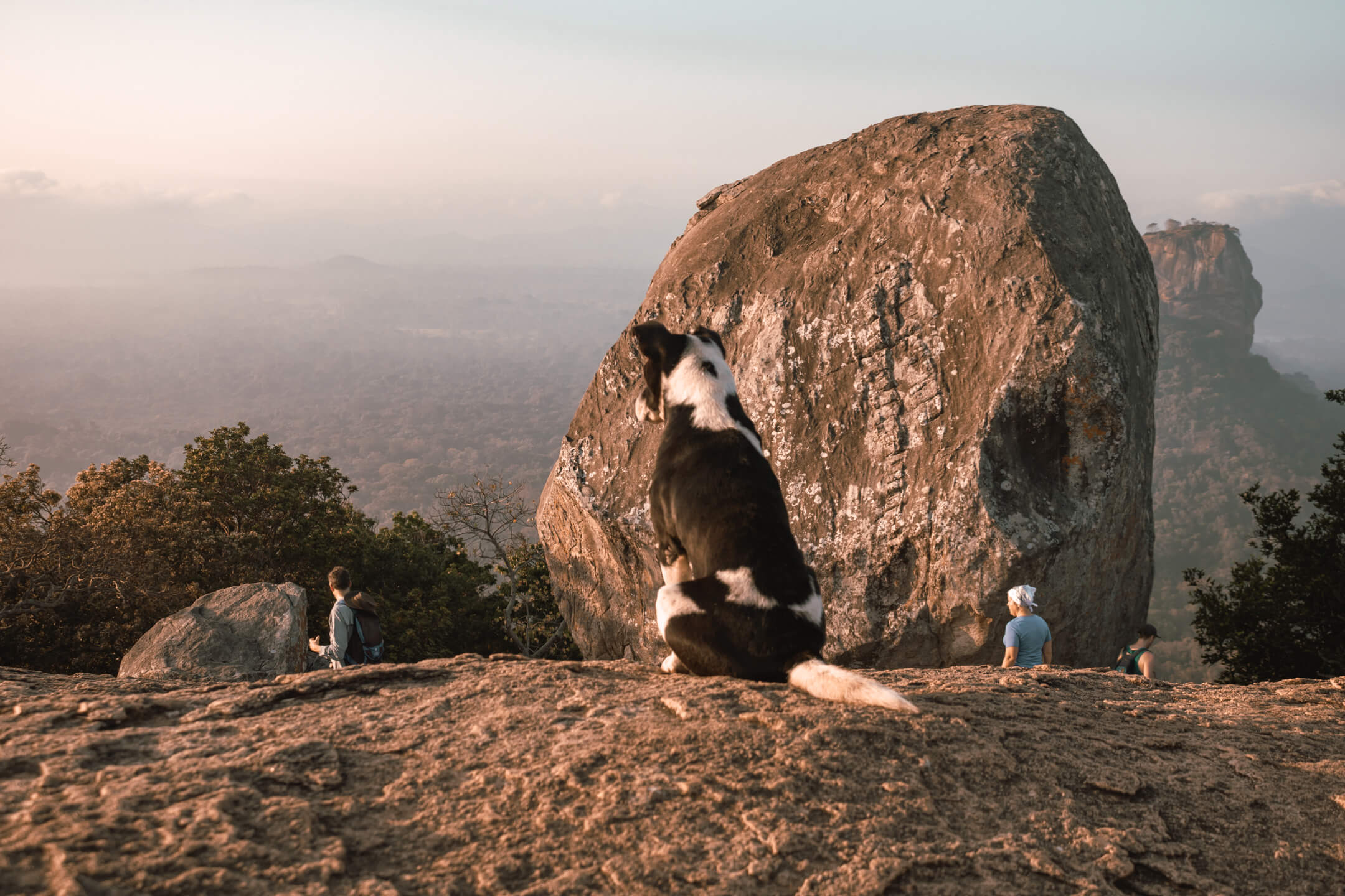 Pidurangala Rock in Sri Lanka