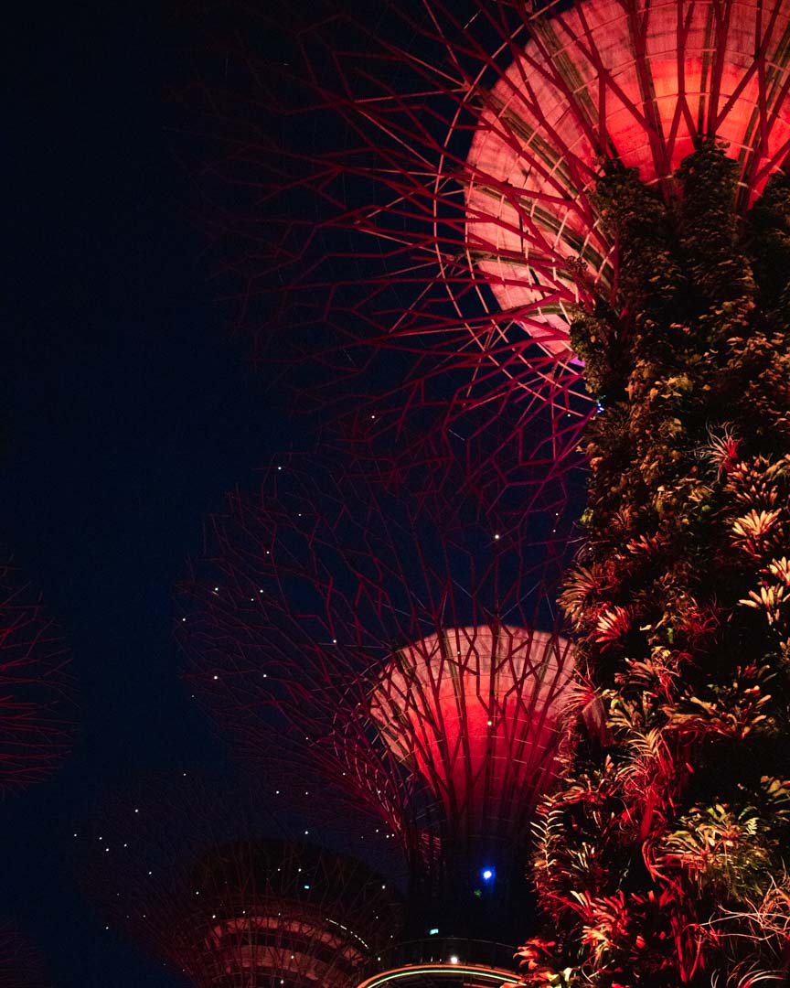 Gardens by the Bay light show, Singapore