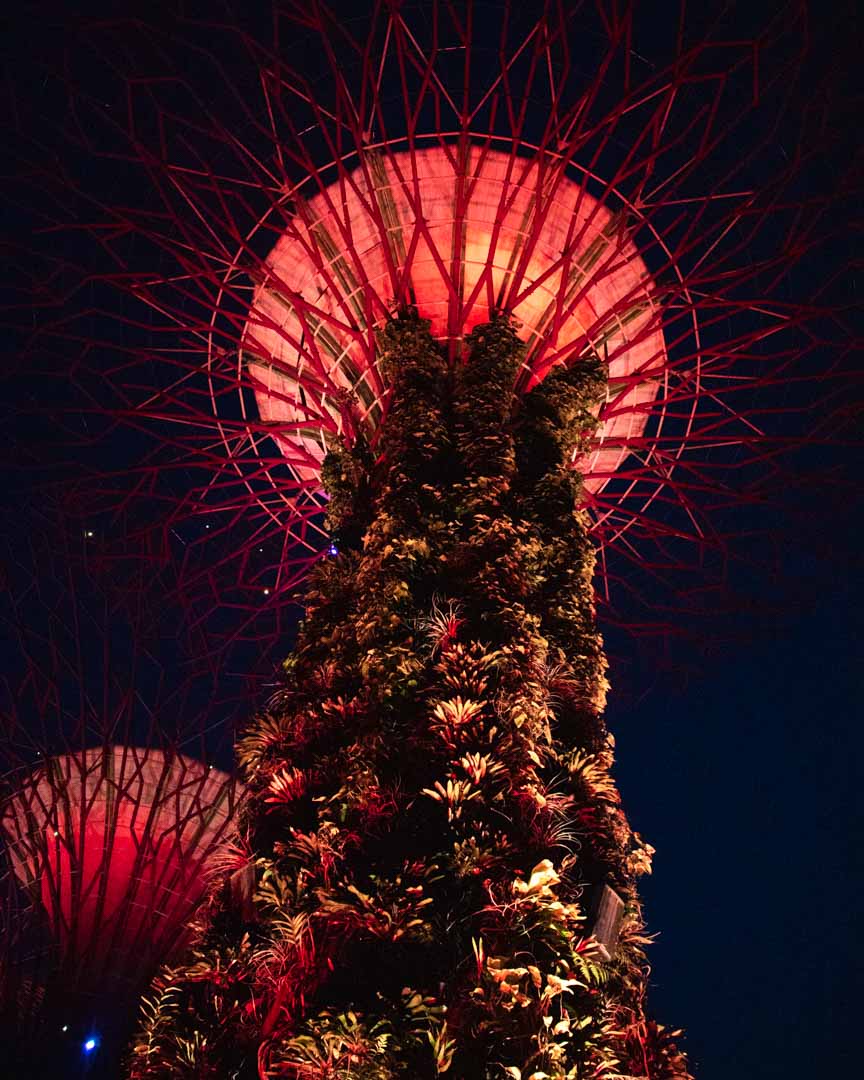 Supertree Grove light show, Singapore