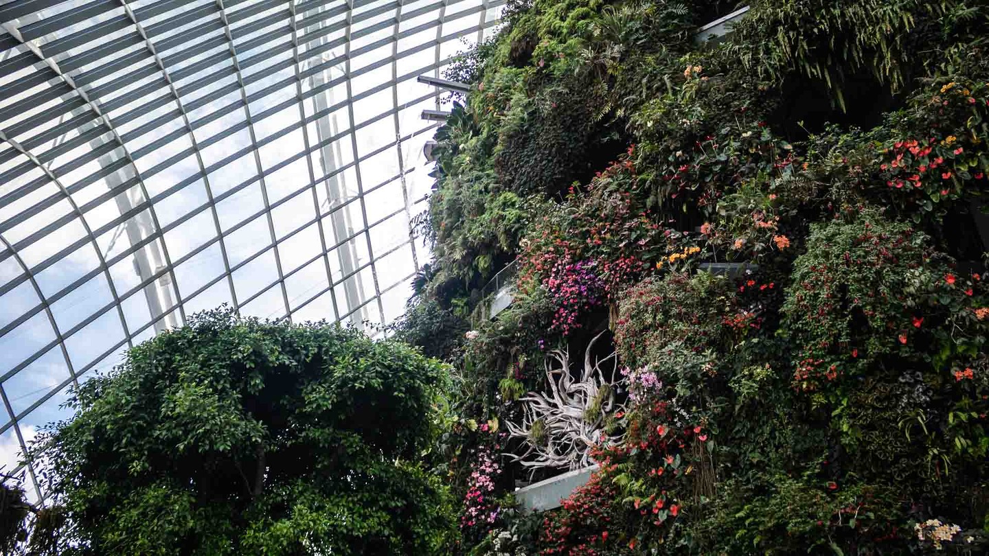 The Flower Dome in Singapore, Southeast Asia itinerary