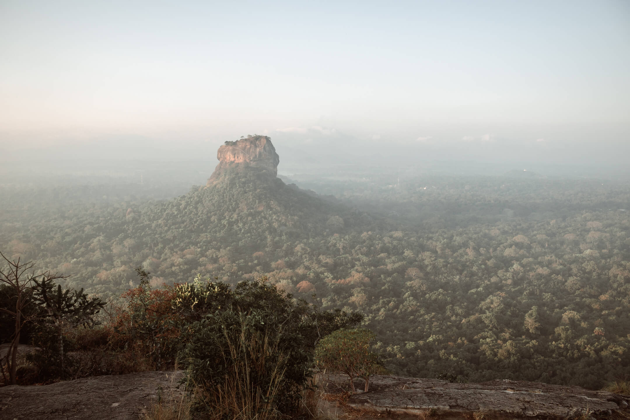 Pidurangala Rock in Sri Lanka