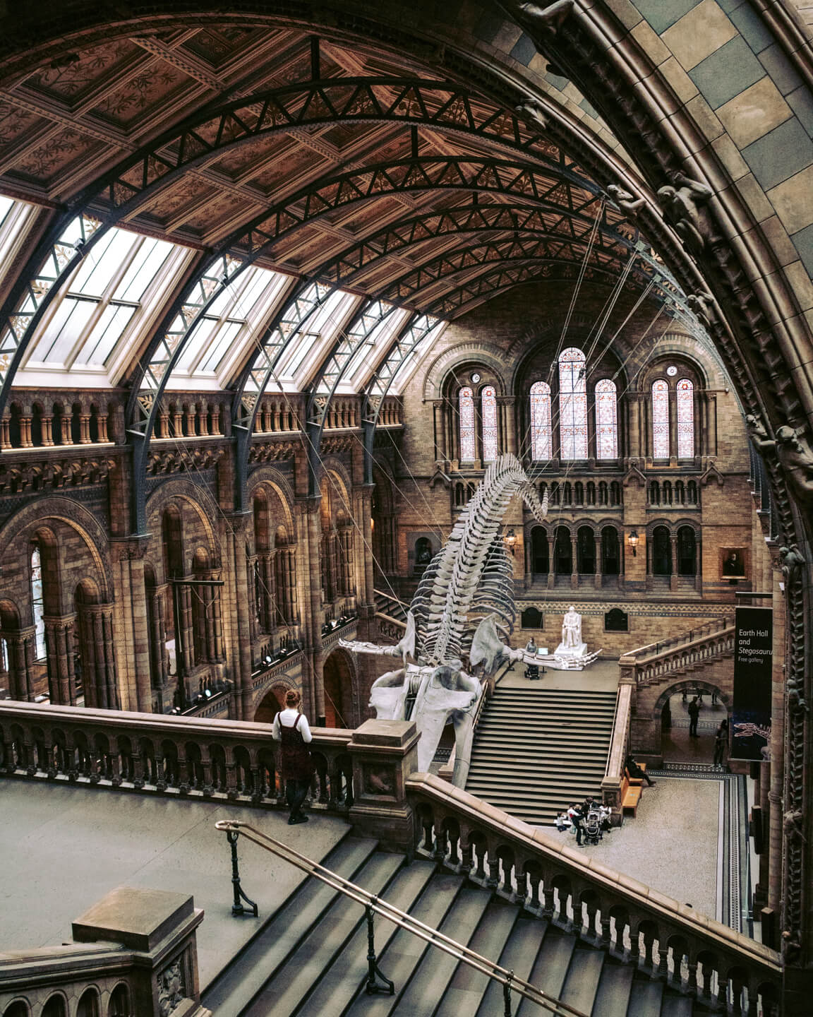 London Museum Whale