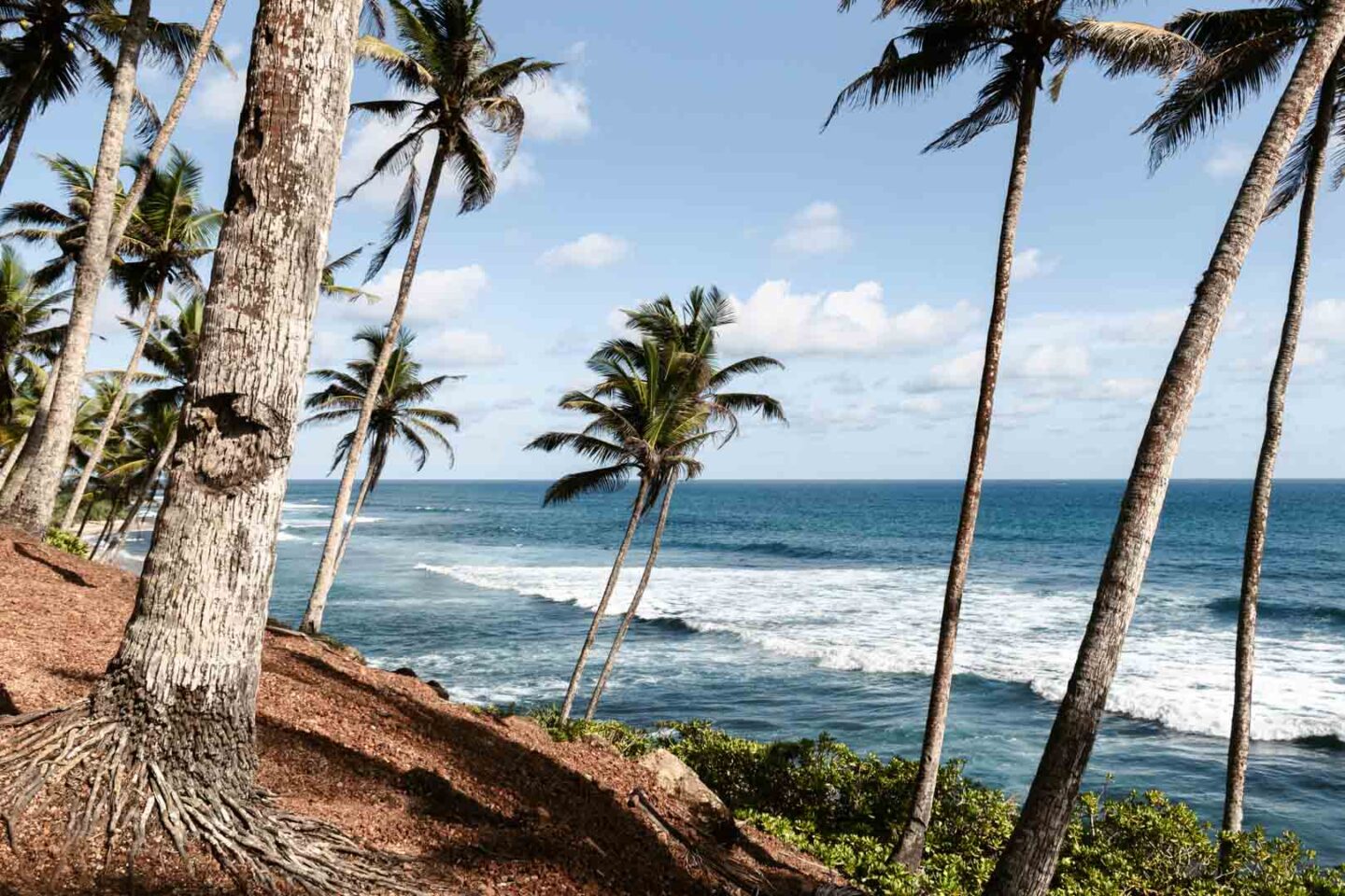 Coconut Hill in Mirissa, Sri Lanka