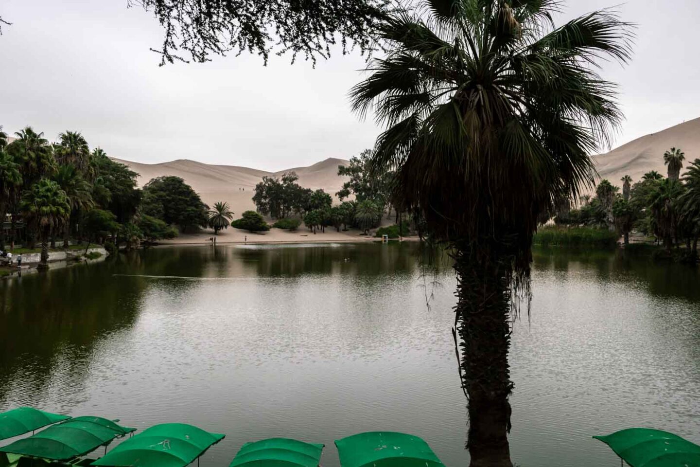 Peru oasis