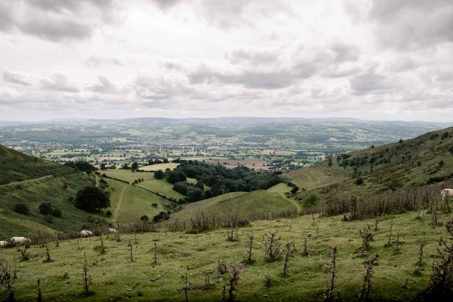 Moel Famau Country Park