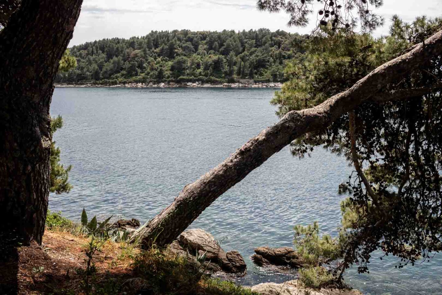 Cavtat coastal path