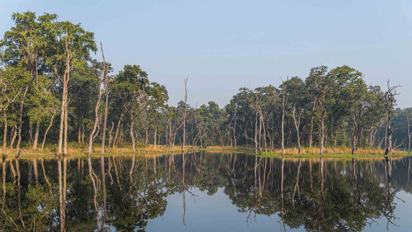 Chitwan National Park river