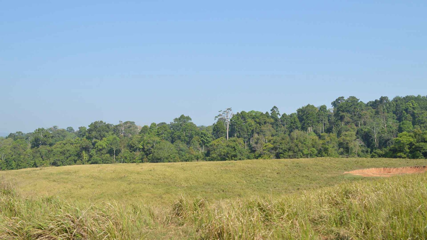 Khao Yai National Park forest, National parks in Asia