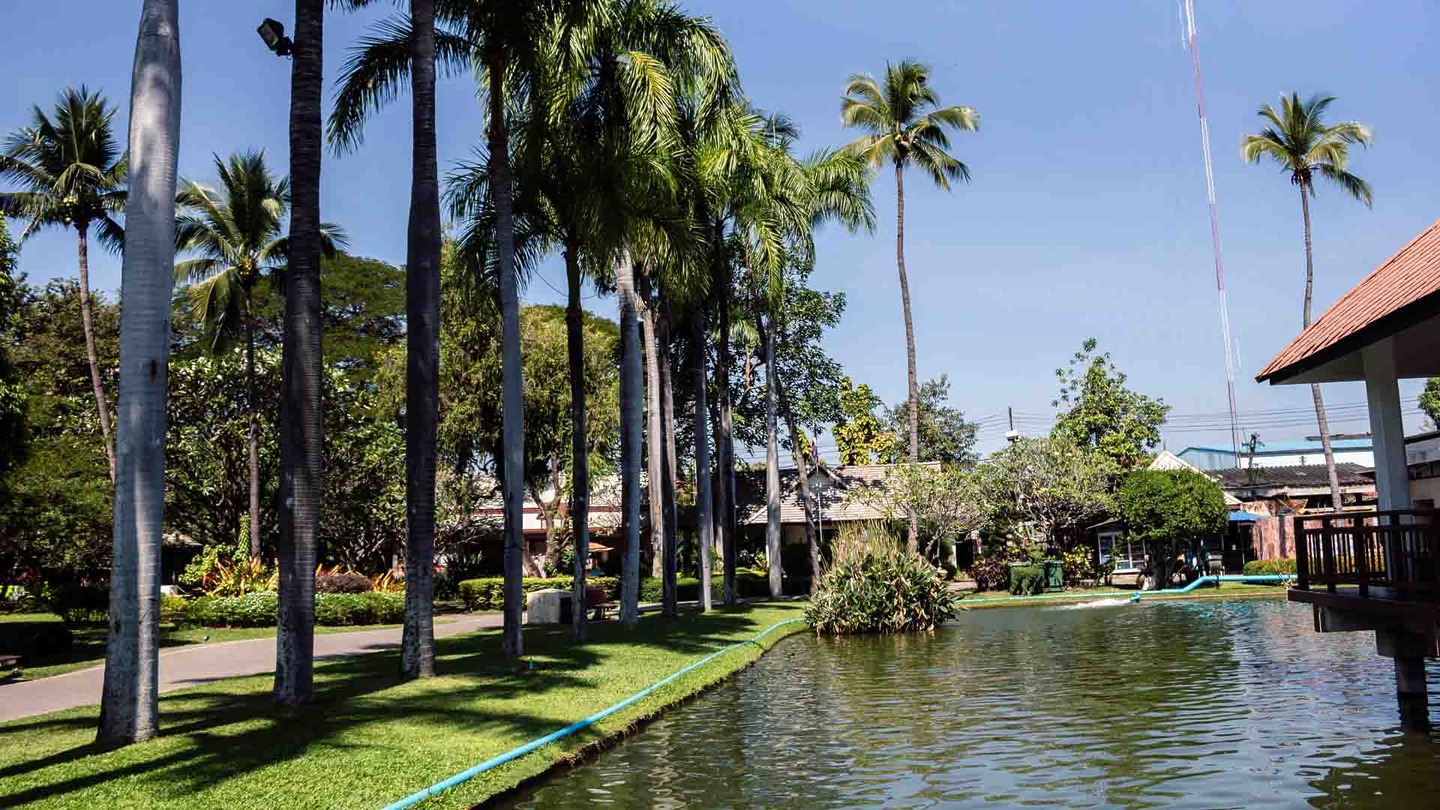 Park and gardens in Thailand, 3 days in Chiang Mai