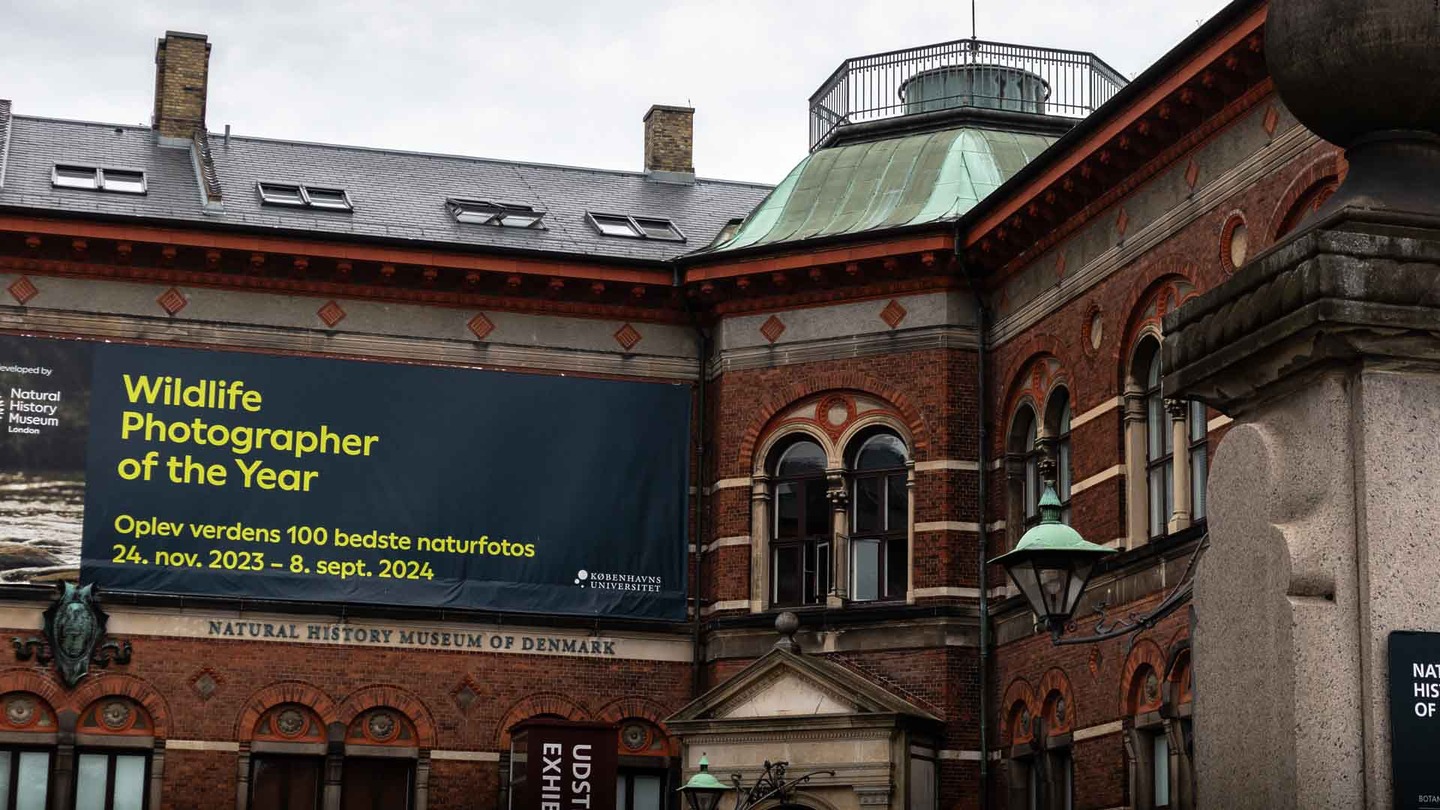 Natural History Museum of Denmark
